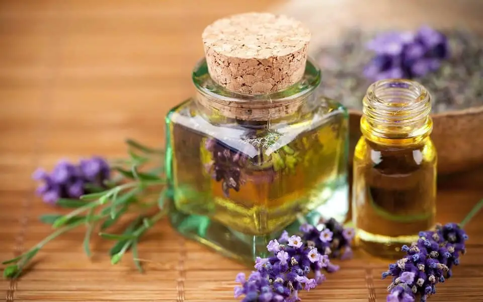 What Are the Best Essential Oils to Start With (1) What Are the Best Essential Oils to Start With