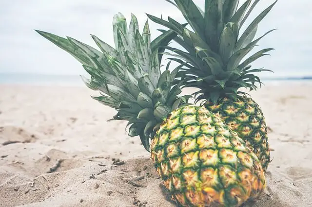 Pineapple Essential Oil Benefits Pineapple Essential Oil Benefits