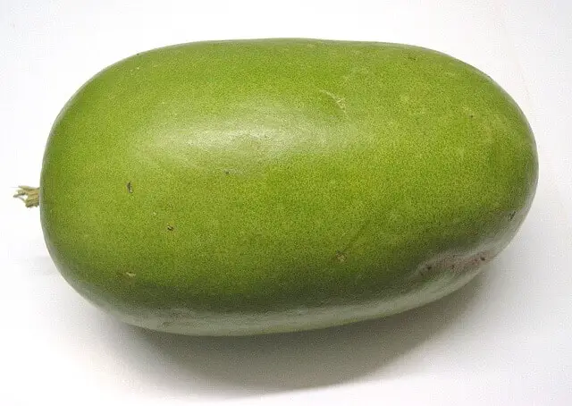 Kumbalanga Ash Gourd Winter Melon