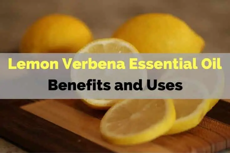 Lemon Verbena Essential Oil Benefits and Uses