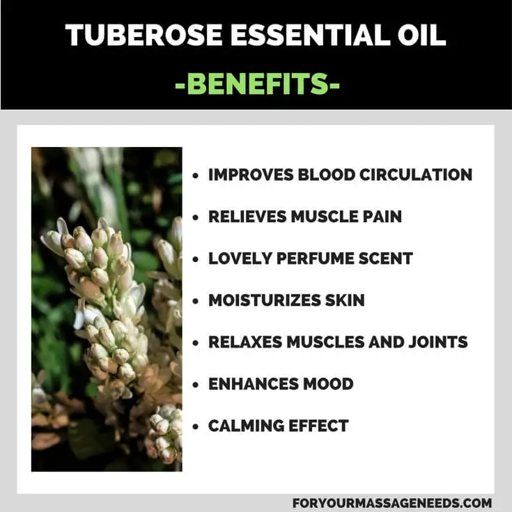 Tuberose Essential Oil Health Benefits Listed