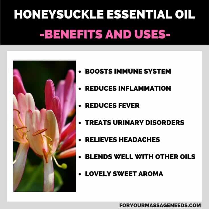 Honeysuckle Essential Oil Health Benefits and Uses Listed