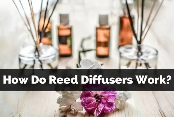 How Do Reed Diffusers Work?