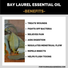 Bay Laurel Essential Oil Benefits and Uses – For Your Massage Needs