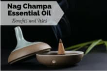 nag champa meaning