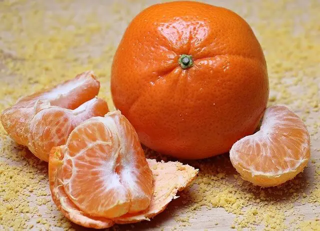 Use Citrus to Keep Spiders Away