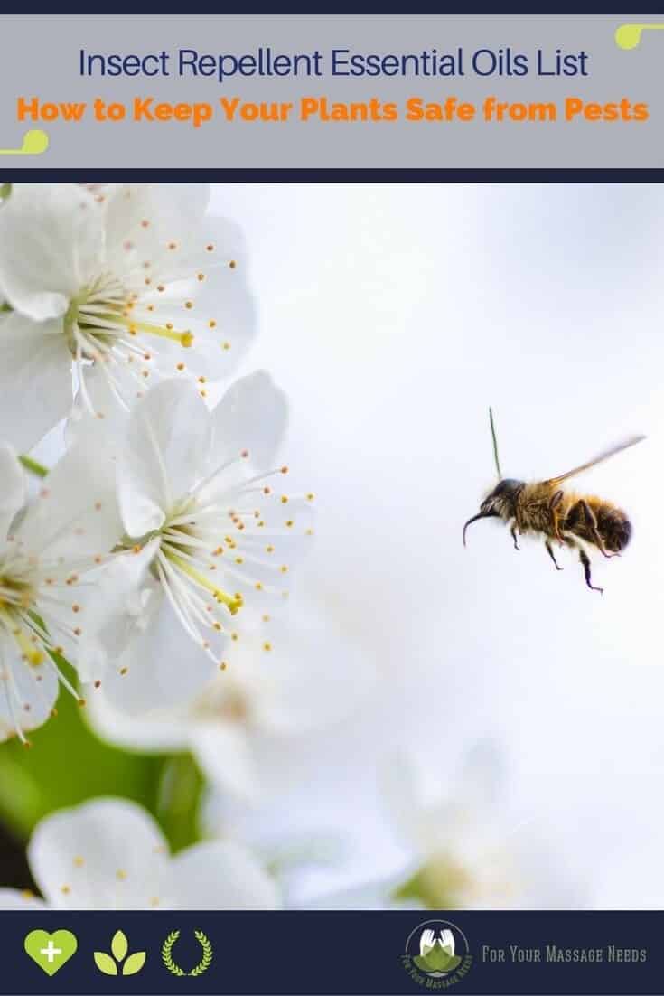 Insect Repellent Essential Oils List Insect Repellent Essential Oils List